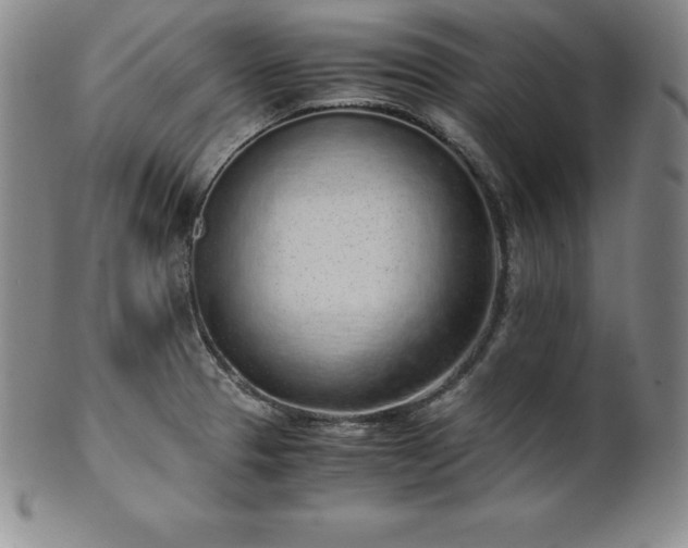 X0000101681329200807171402