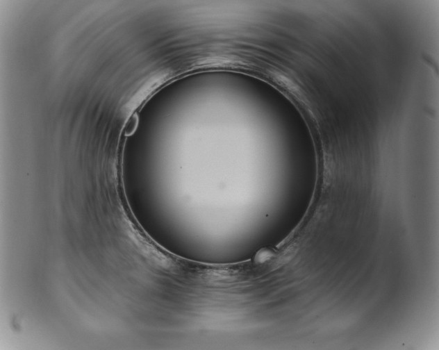 X0000101681330200807171402