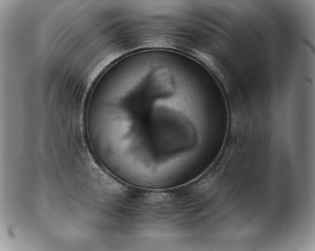 X0000101681331200807171402