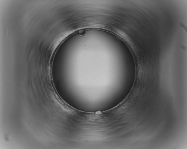 X0000101681332200807171402