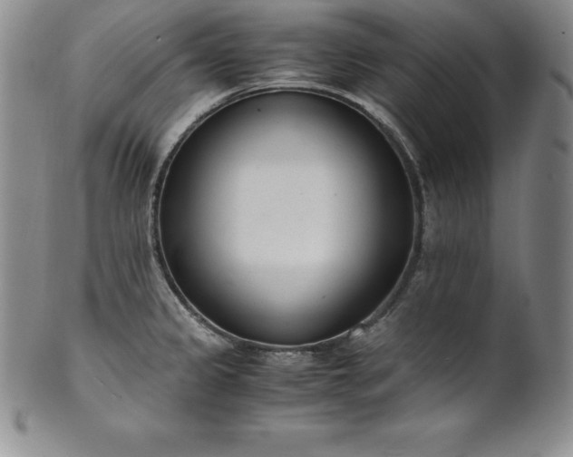 X0000101681333200807171402