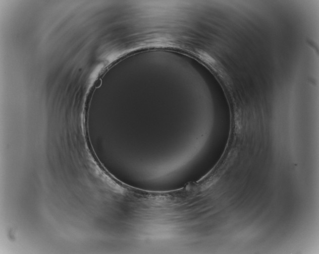 X0000101681334200807171403