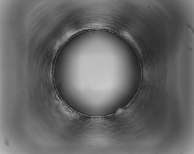 X0000101681336200807171403