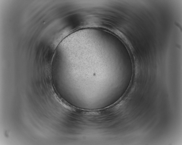 X0000101681337200807171403