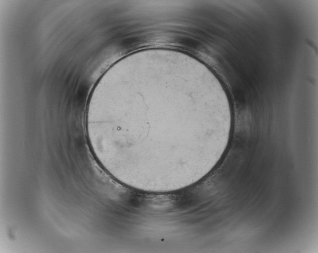 X0000101681338200807171403