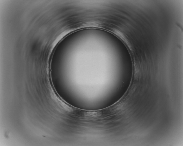 X0000101681339200807171403