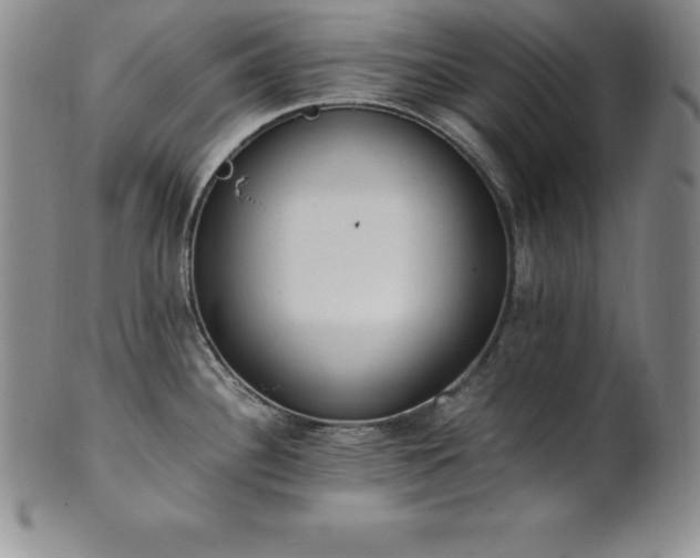 X0000101681340200807171403