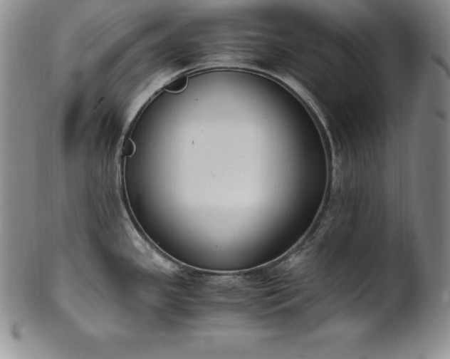 X0000101681341200807171403