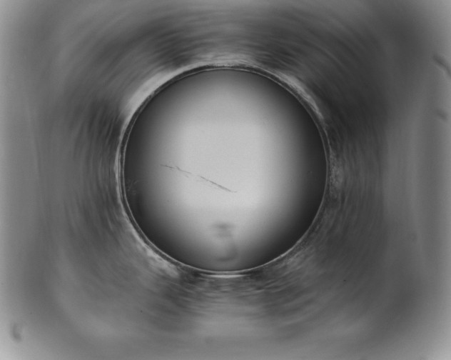 X0000101681343200807171403