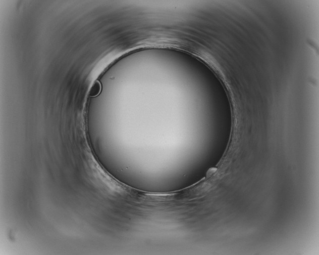 X0000101681344200807171403