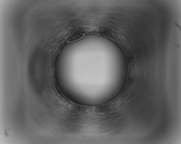 X0000101681345200807171402