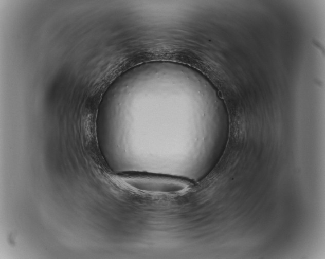 X0000101681346200807171402