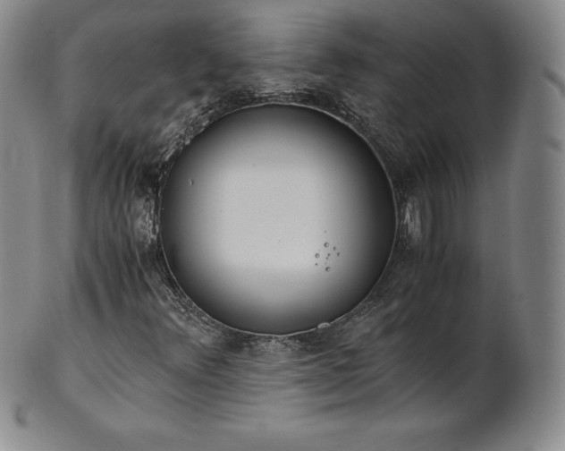 X0000101681348200807171402