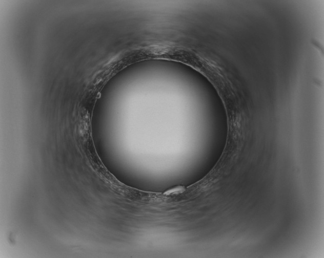 X0000101681349200807171402