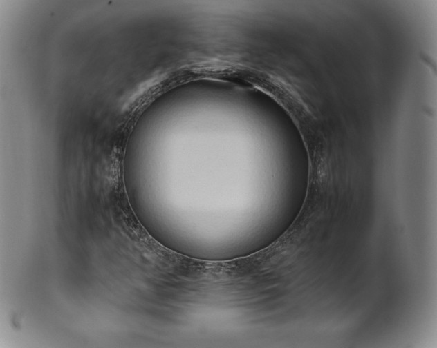 X0000101681350200807171402