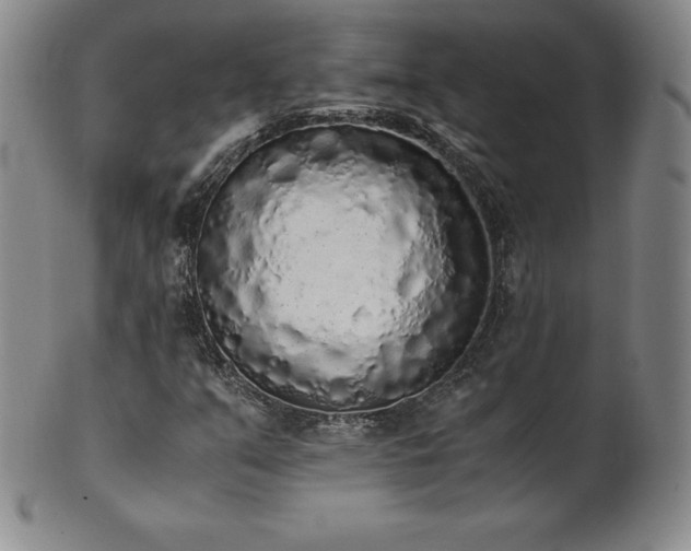 X0000101681351200807171402