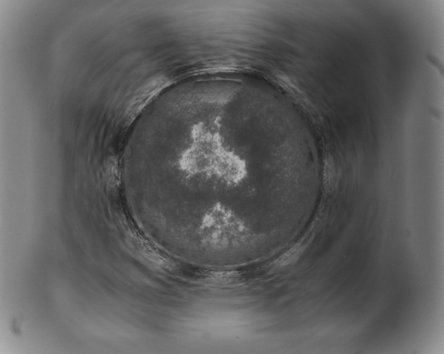 X0000101681353200807171402