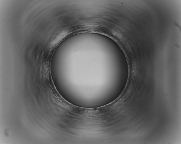 X0000101681354200807171402