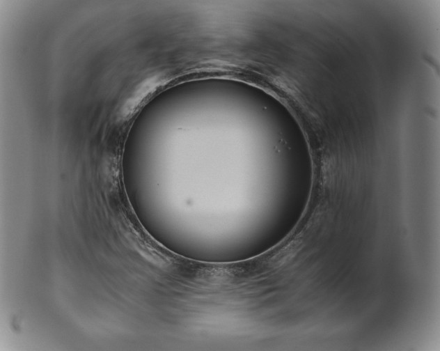 X0000101681355200807171402