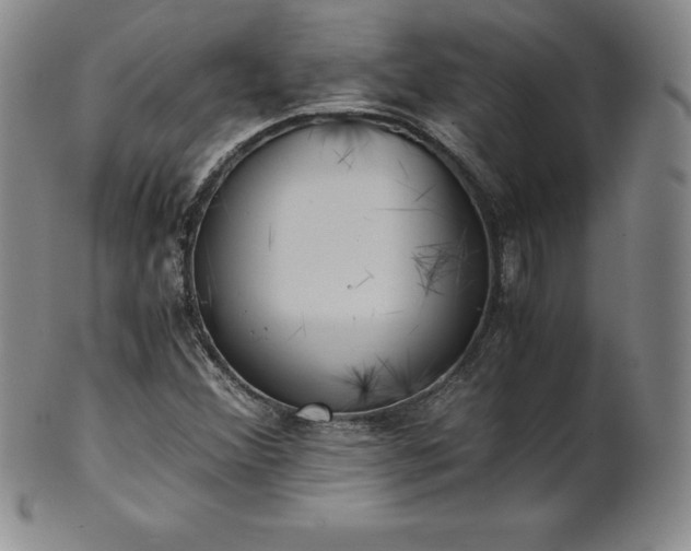 X0000101681356200807171402