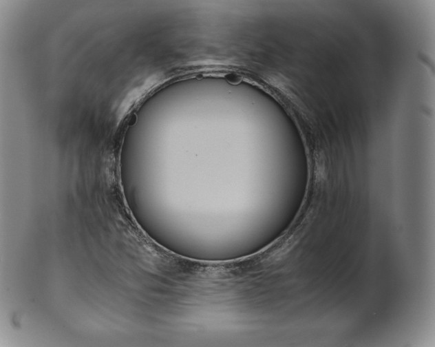 X0000101681357200807171402