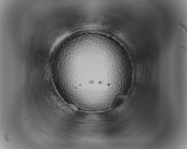 X0000101681358200807171402