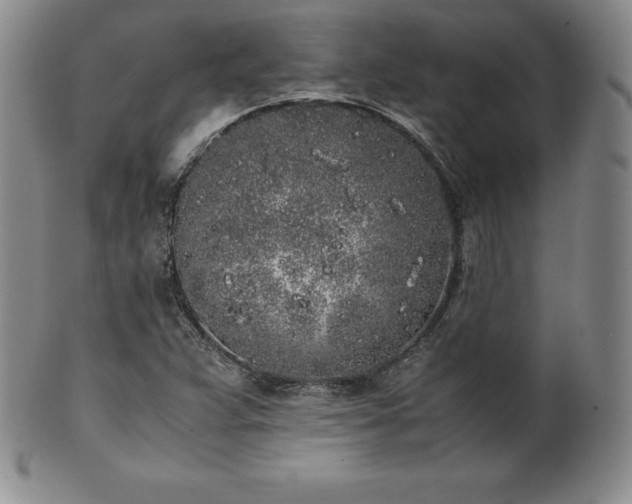 X0000101681359200807171402