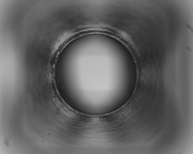 X0000101681360200807171402