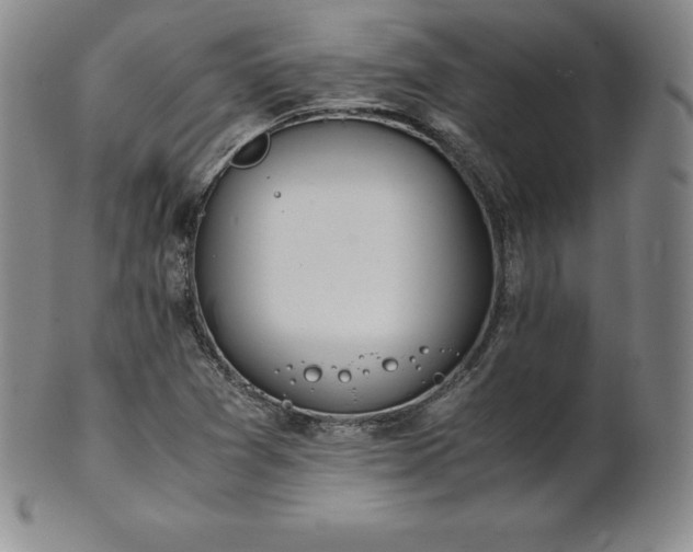 X0000101681361200807171402