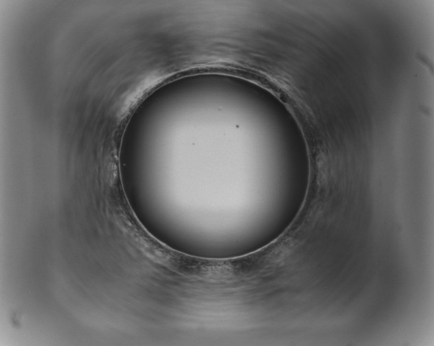 X0000101681363200807171402