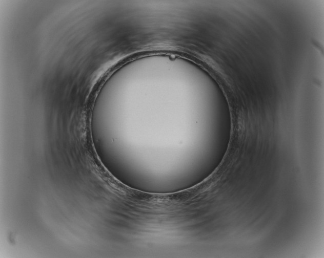 X0000101681364200807171402