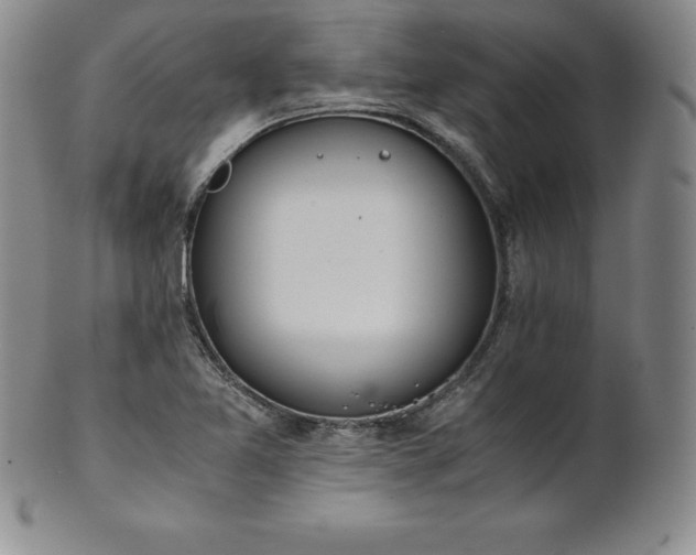 X0000101681365200807171402