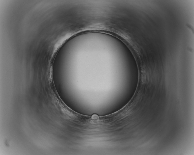 X0000101681366200807171402