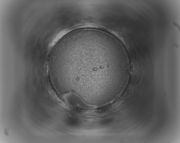 X0000101681367200807171402