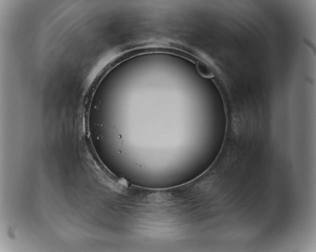 X0000101681368200807171402