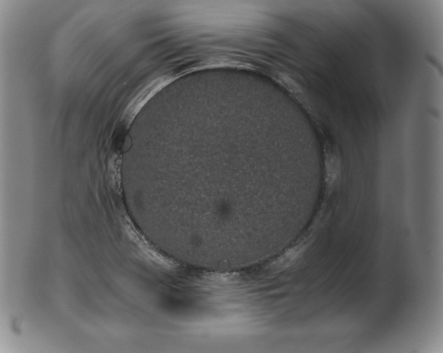 X0000101681369200807171402