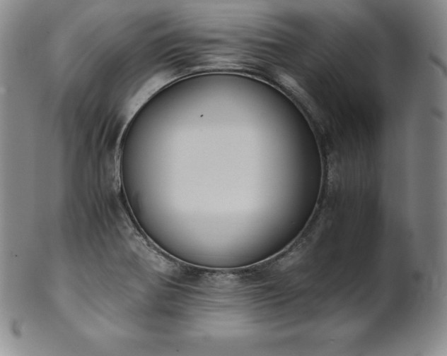 X0000101681370200807171402