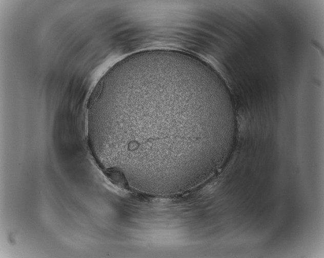 X0000101681371200807171402