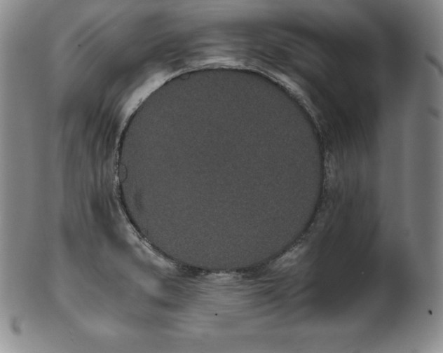 X0000101681373200807171402