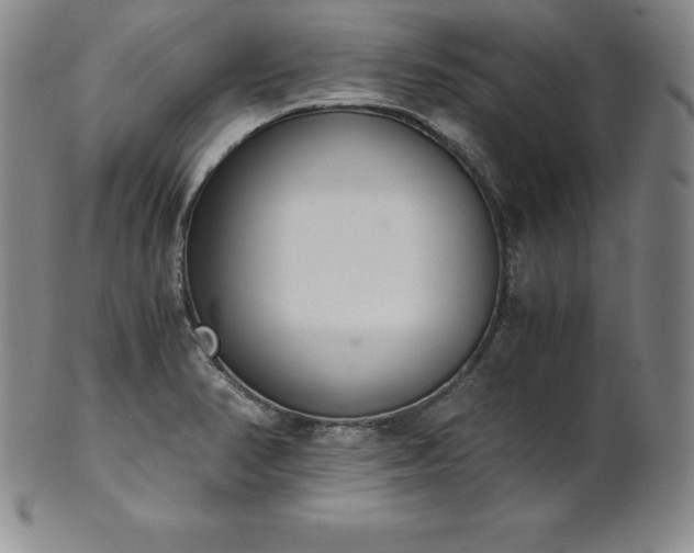 X0000101681374200807171401