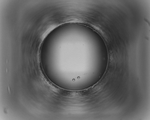 X0000101681375200807171401