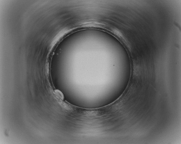 X0000101681376200807171401