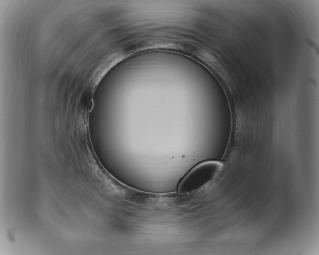 X0000101681377200807171401