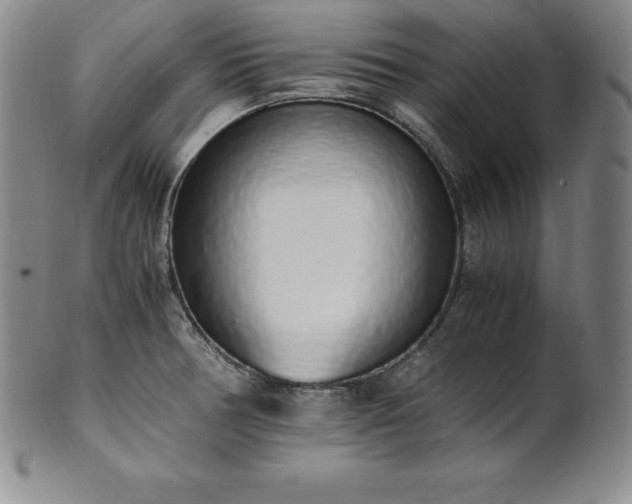 X0000101681378200807171401