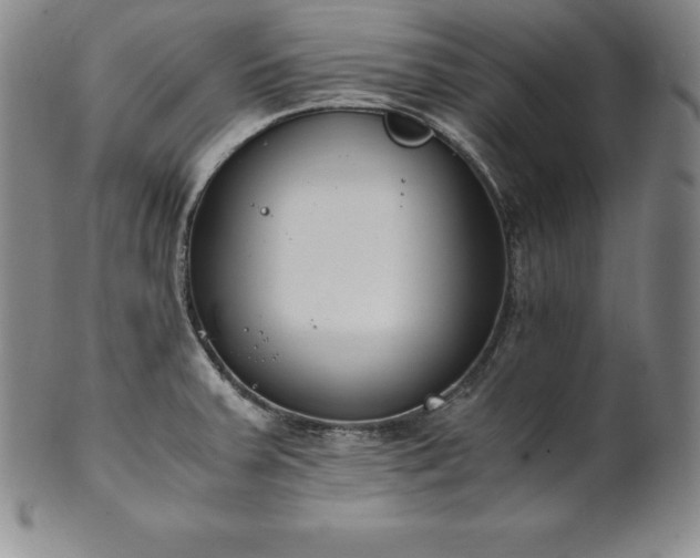 X0000101681379200807171401