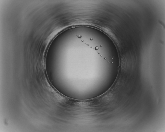 X0000101681380200807171401