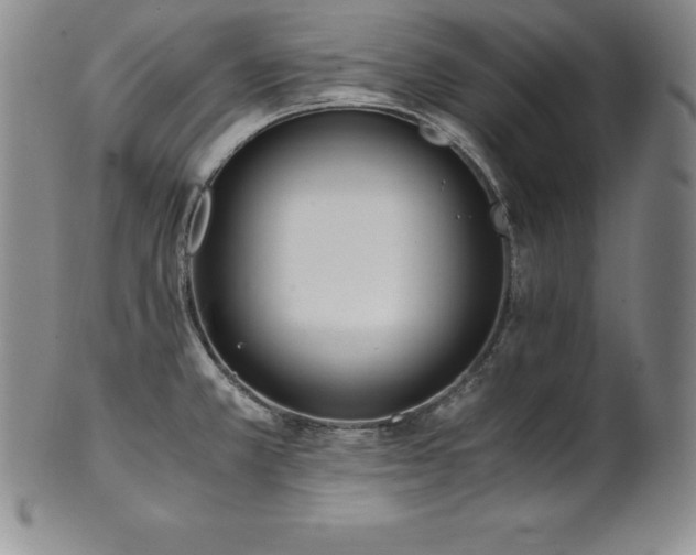 X0000101681381200807171401