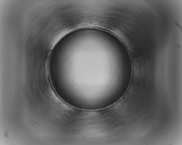 X0000101681382200807171401