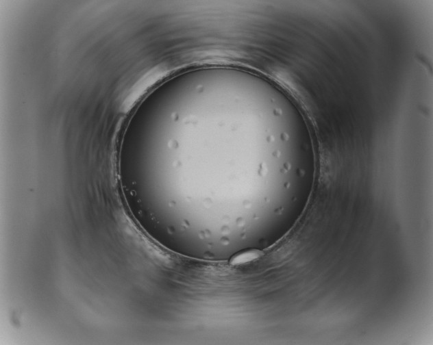 X0000101681384200807171401