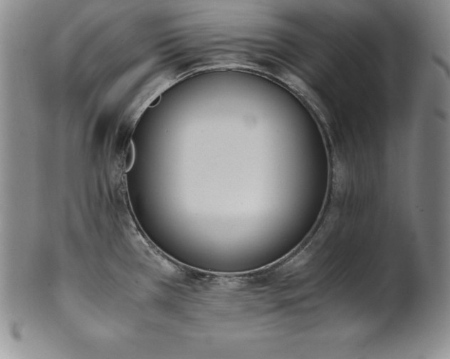 X0000101681385200807171401